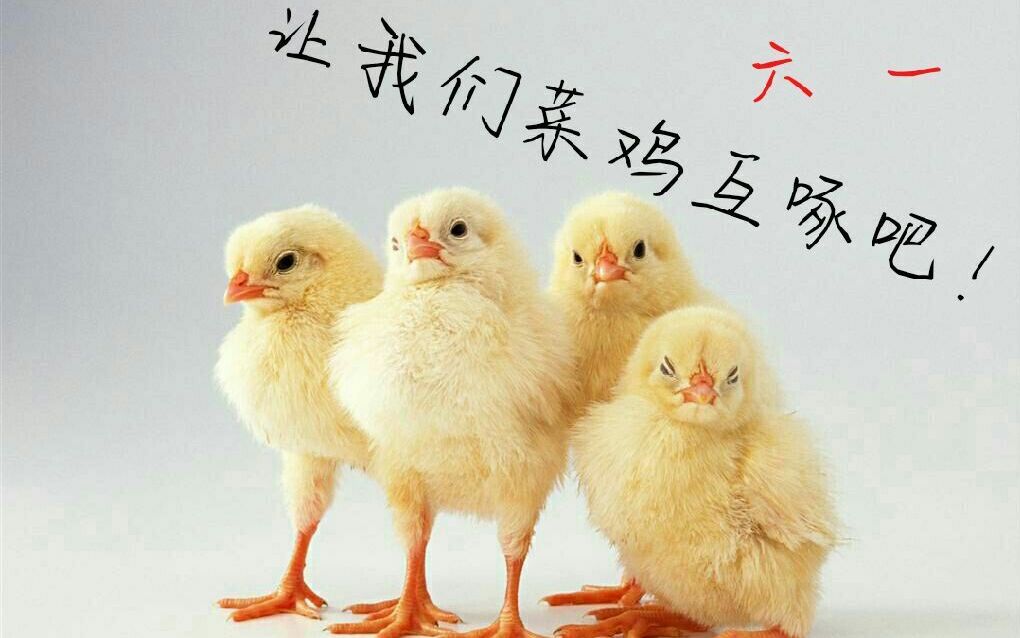 「闪灵」61特别活动—第一环节《菜鸡互啄》