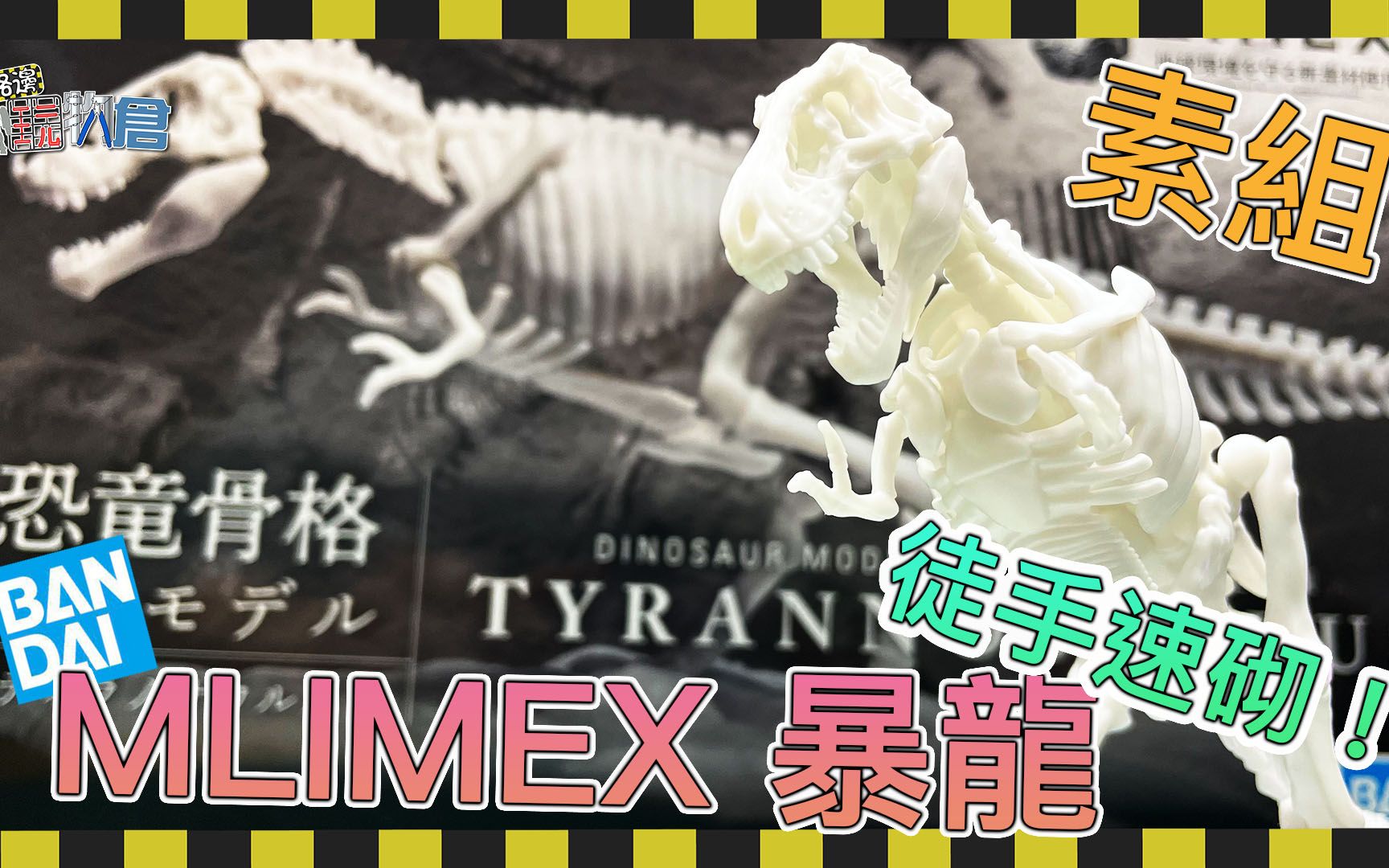 [图][路边玩物仓] 素组 速砌 Bandai LIMEX Tyrannosaurus 恐龙骨格 暴龙