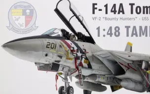 【Tamiya】F-14A 战斗机模型制作（1/48）