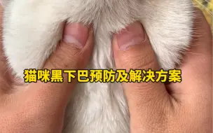 Download Video: 猫咪黑下巴预防及解决方案#猫咪黑下巴 #新手养猫 #养猫经验分享