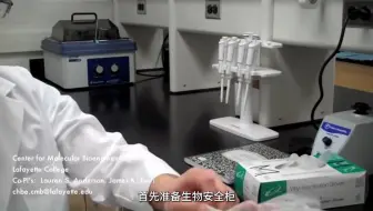 外网专业实验技术操作：如何更换细胞培养基