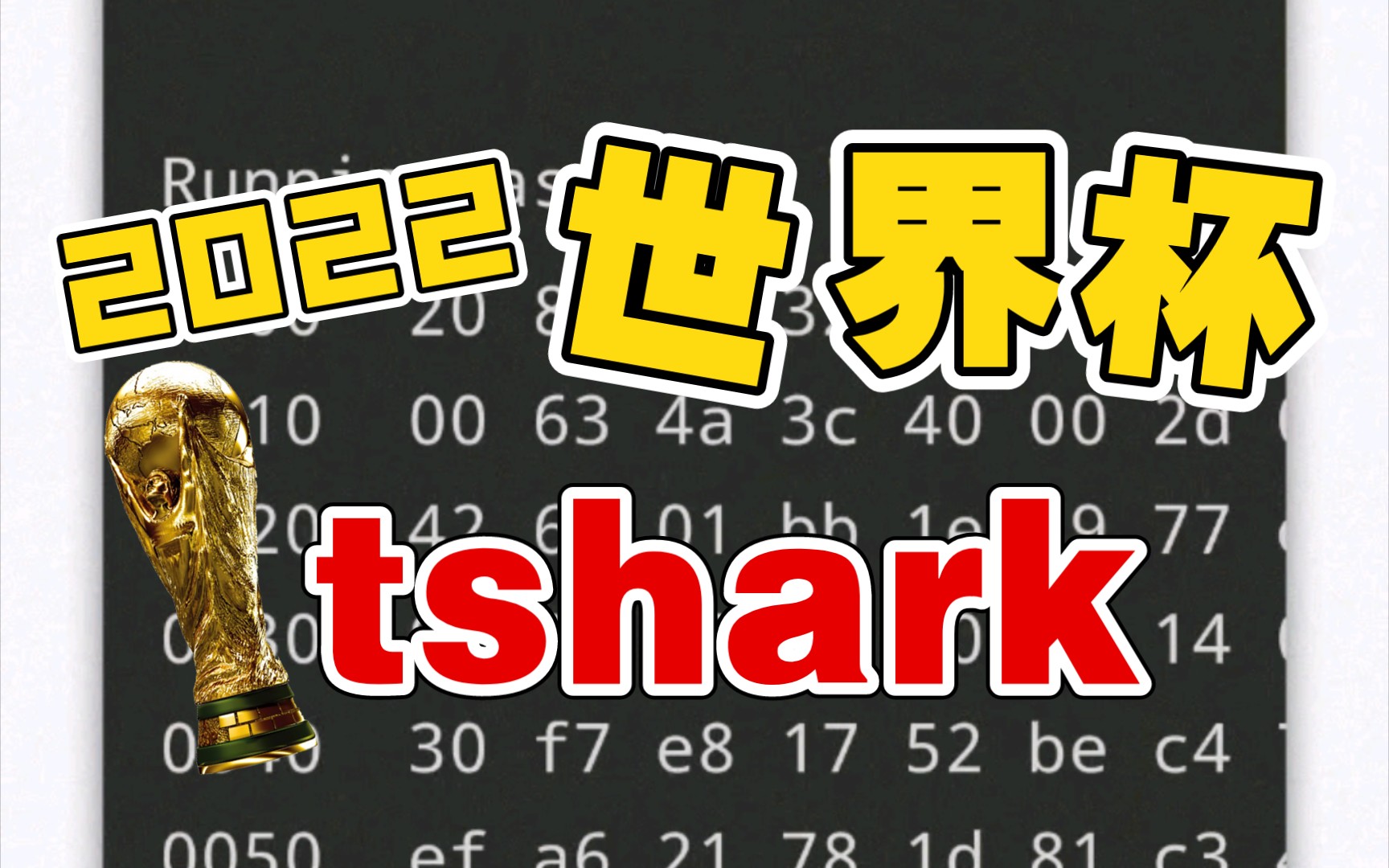 tshark作为wireshark的命令行版本,功能非常强大哔哩哔哩bilibili