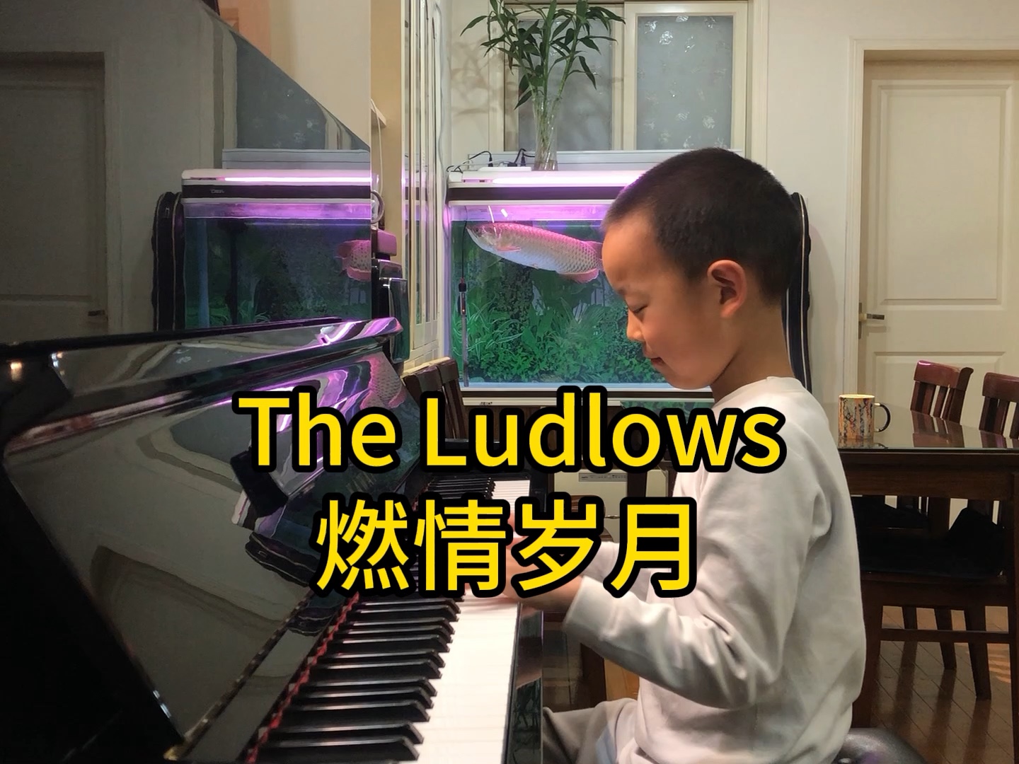 [图]《The Ludlows》是影片《燃情岁月》的配乐，由James Horner谱曲，老铁六岁钢琴演绎，录制于2024年4月9日