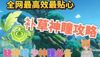 【原神】漏神瞳缺神瞳？3.0须弥最高效补神瞳攻略~贴心领跑！查漏补缺必备~（共110个）