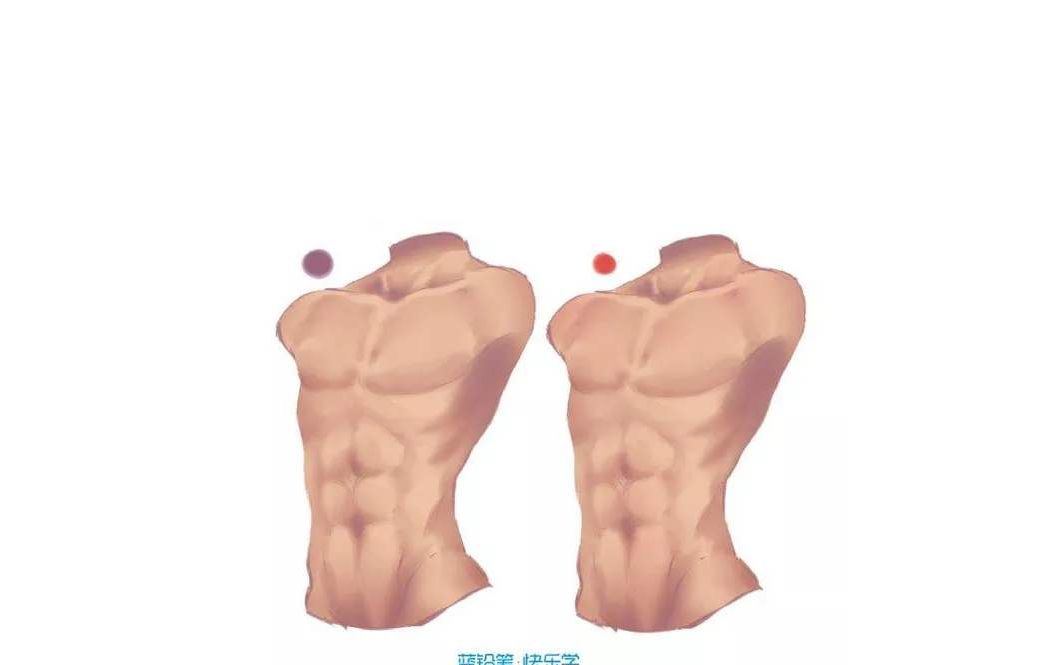 板绘人体躯干胸部臀部四肢的画法图文教