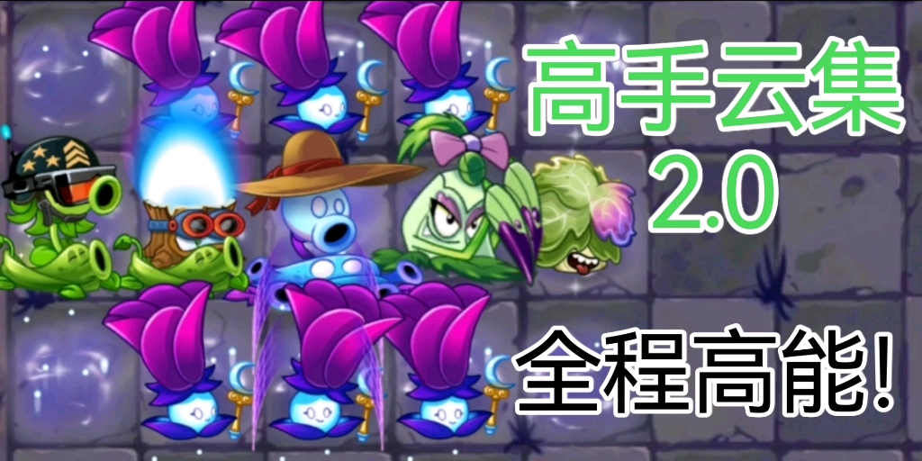 pvz2 高手云集2.0植物大战僵尸