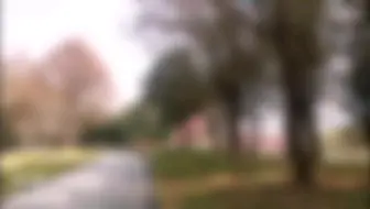 这个季节适合公园散步跑步随便赏景