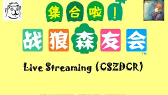 2025.05.01-直播录像