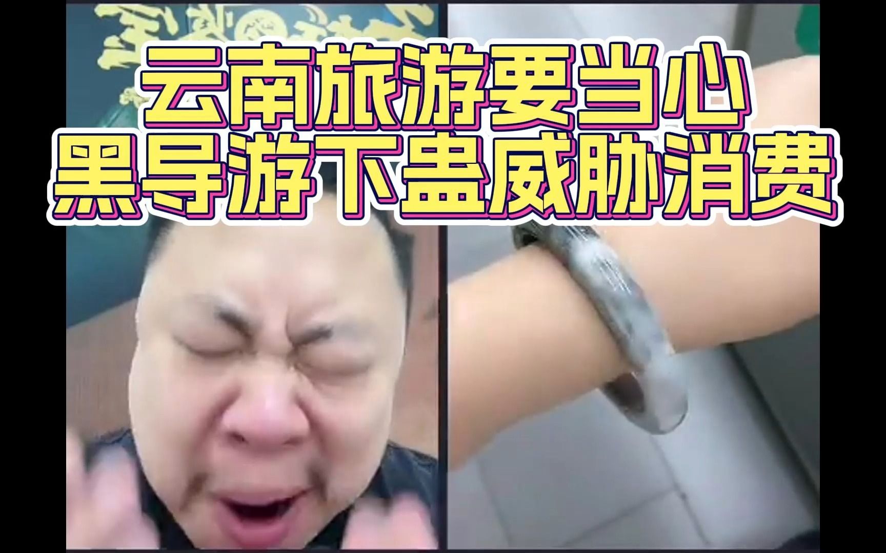 云南导游陈春燕事件图片