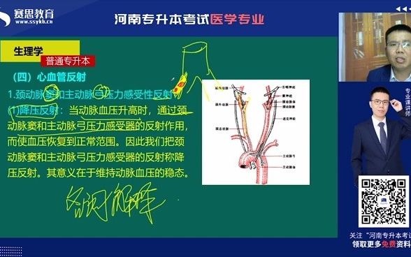 河南医学专升本:降压反射是什么,快来听听邵玉普老师怎么讲哔哩哔哩bilibili