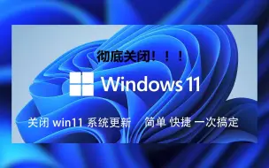 Download Video: 彻底关闭win11更新 一次搞定！！