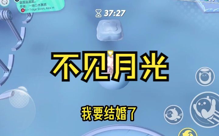 书名:不见月光哔哩哔哩bilibili