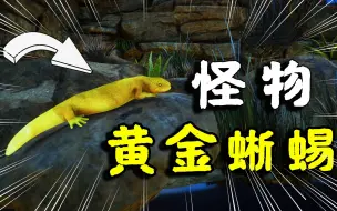 Download Video: 动物园之星28：复活怪异生物，罕见的黄金蜥蜴，动物园的命运扭转