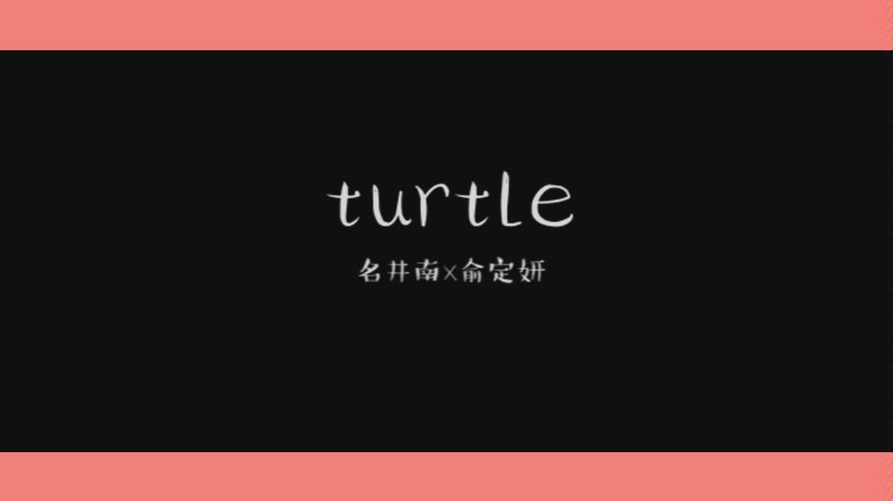 【定南】turtle哔哩哔哩bilibili