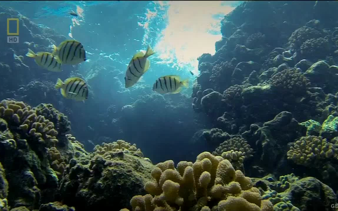 [图]夏威夷2深处的秘密