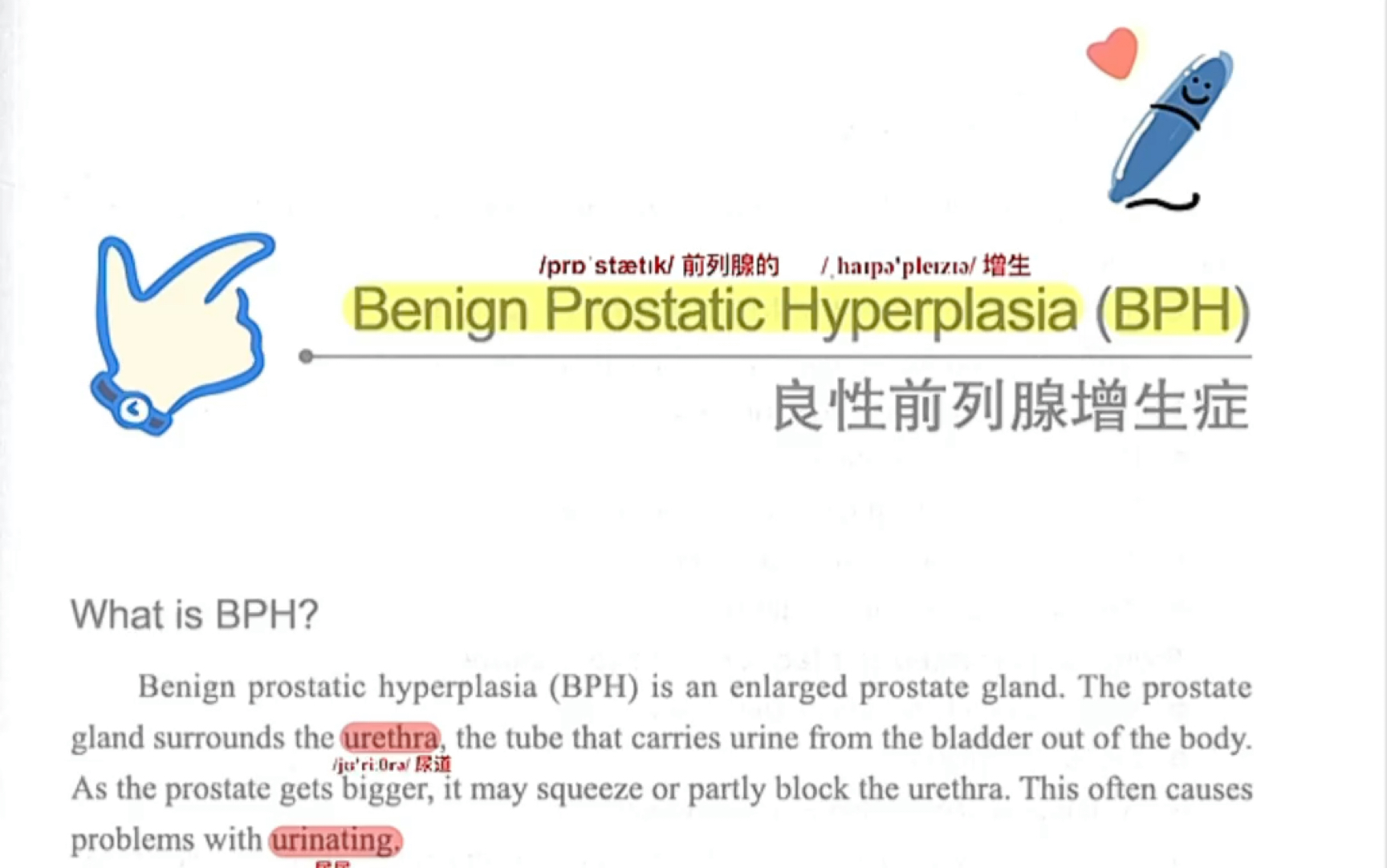 良性前列腺增生|医学英语文章朗读,好好听哦(认真听哦!)哔哩哔哩bilibili