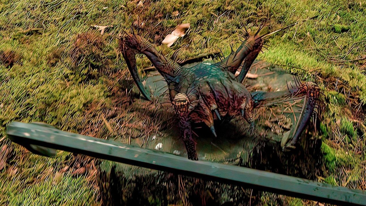 现实生活中的剧毒猎头蟹