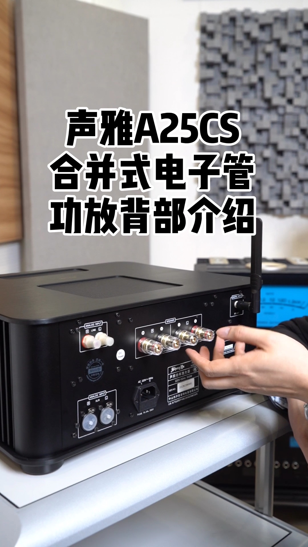 声雅a25cs合并式电子管功放背部介绍