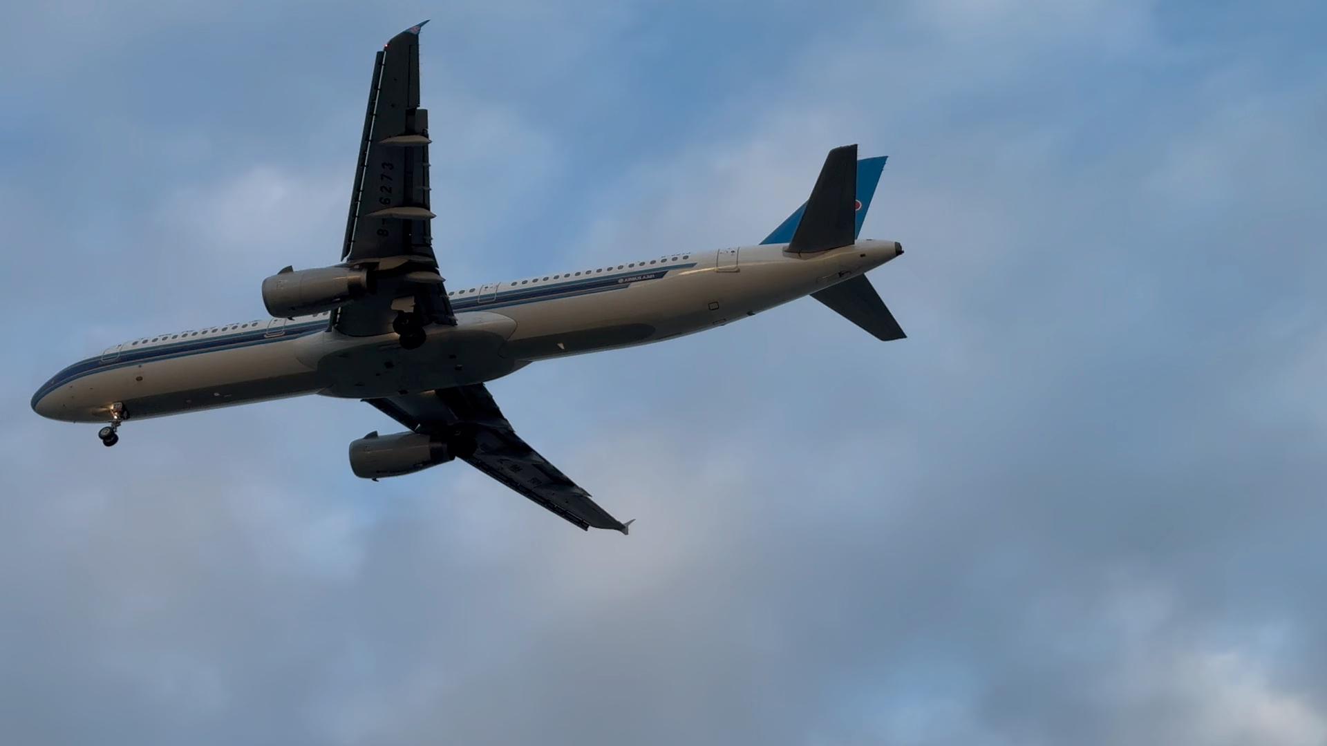 南航家的321小朋友放学回家啦