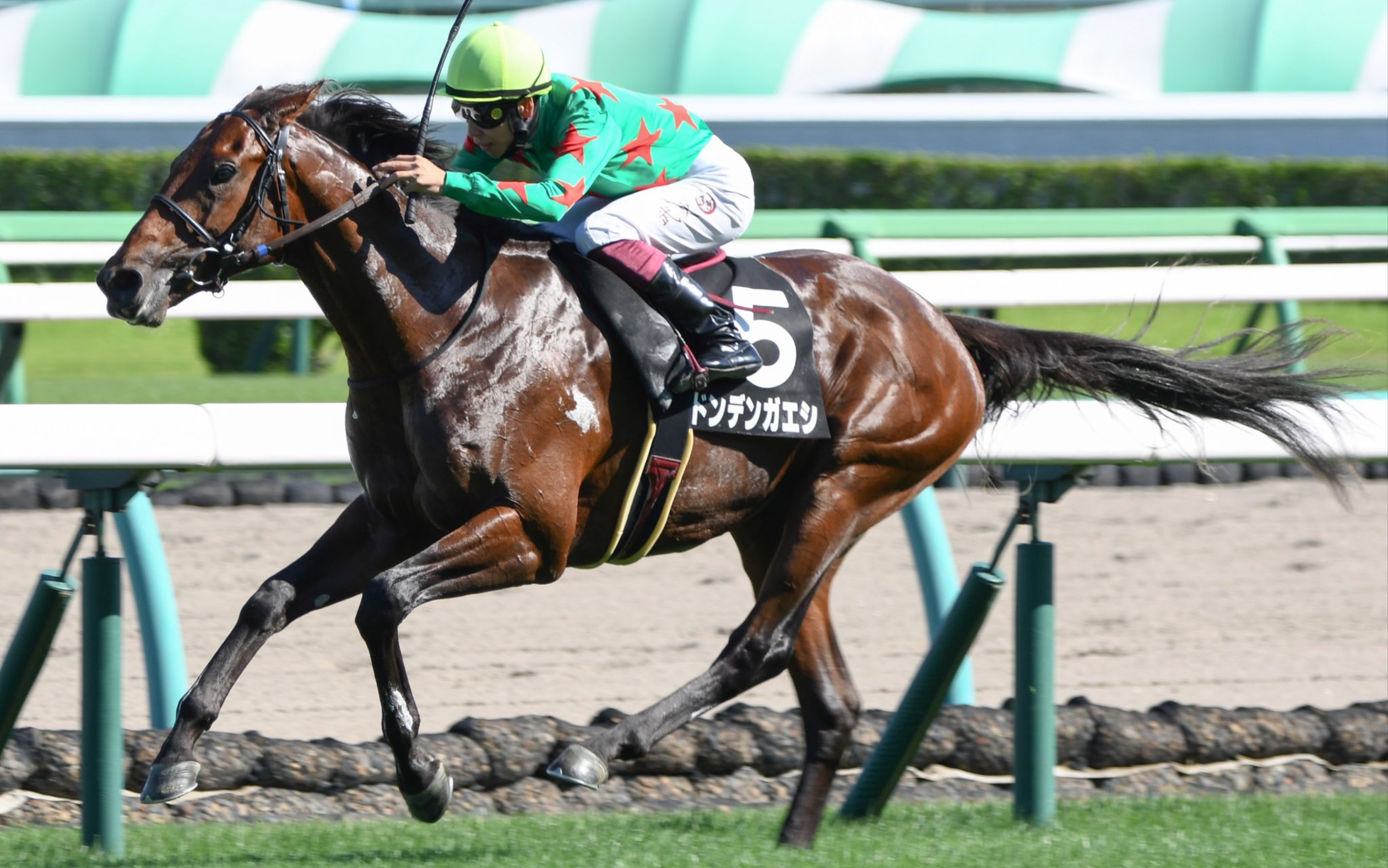 【日本赛马】2022.9.