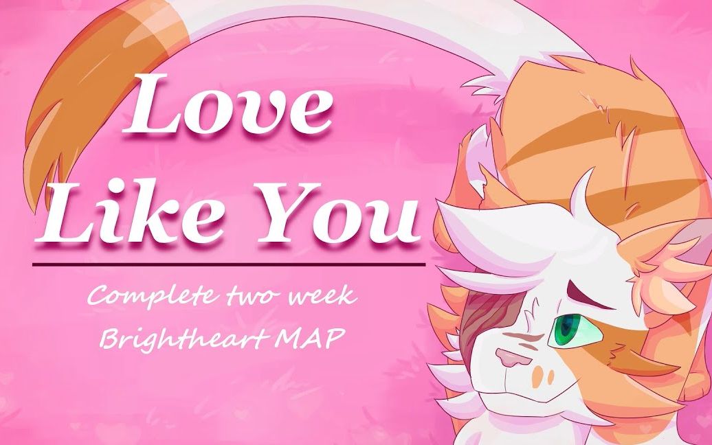 猫武士亮心云尾lovelikeyou