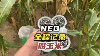 Download Video: 太香了！带着neo掰玉米 这画质怎么样？