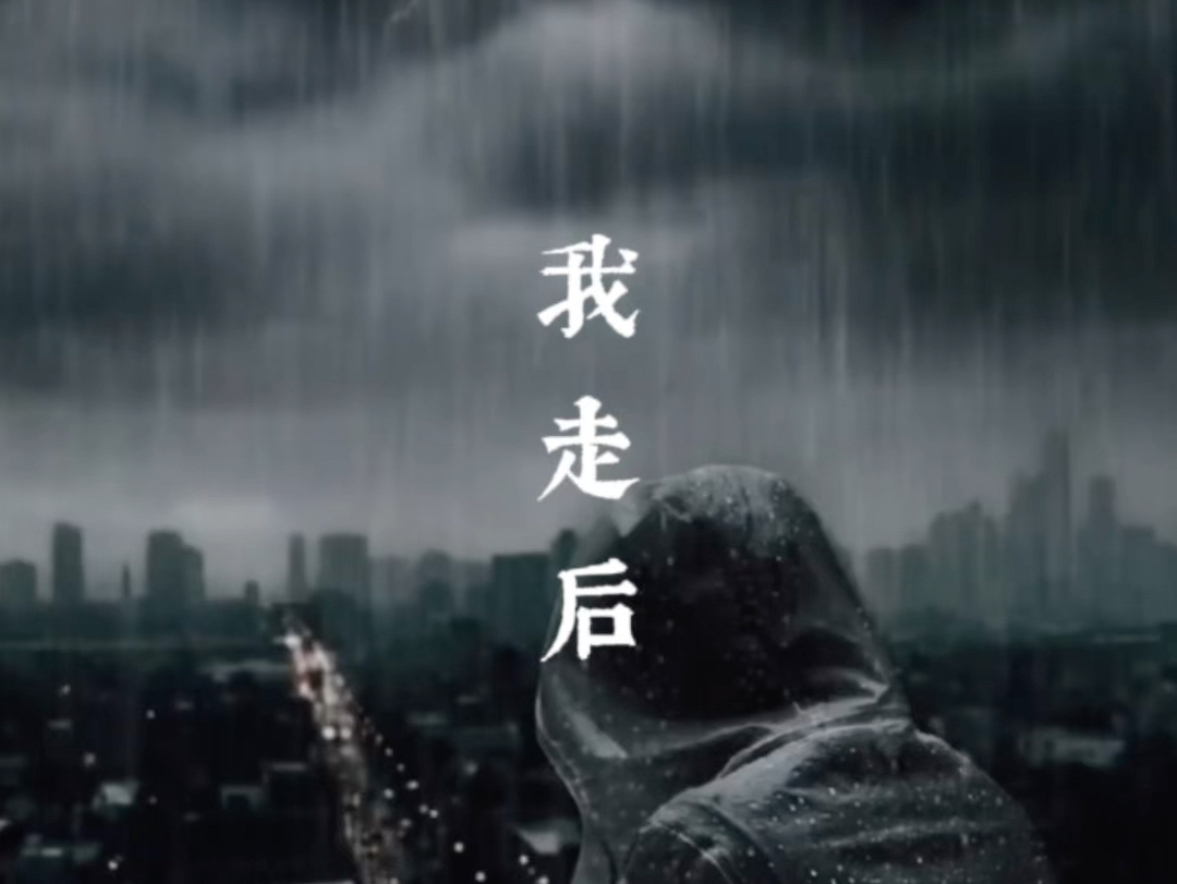 我走后|下雨了,我说的不是天气