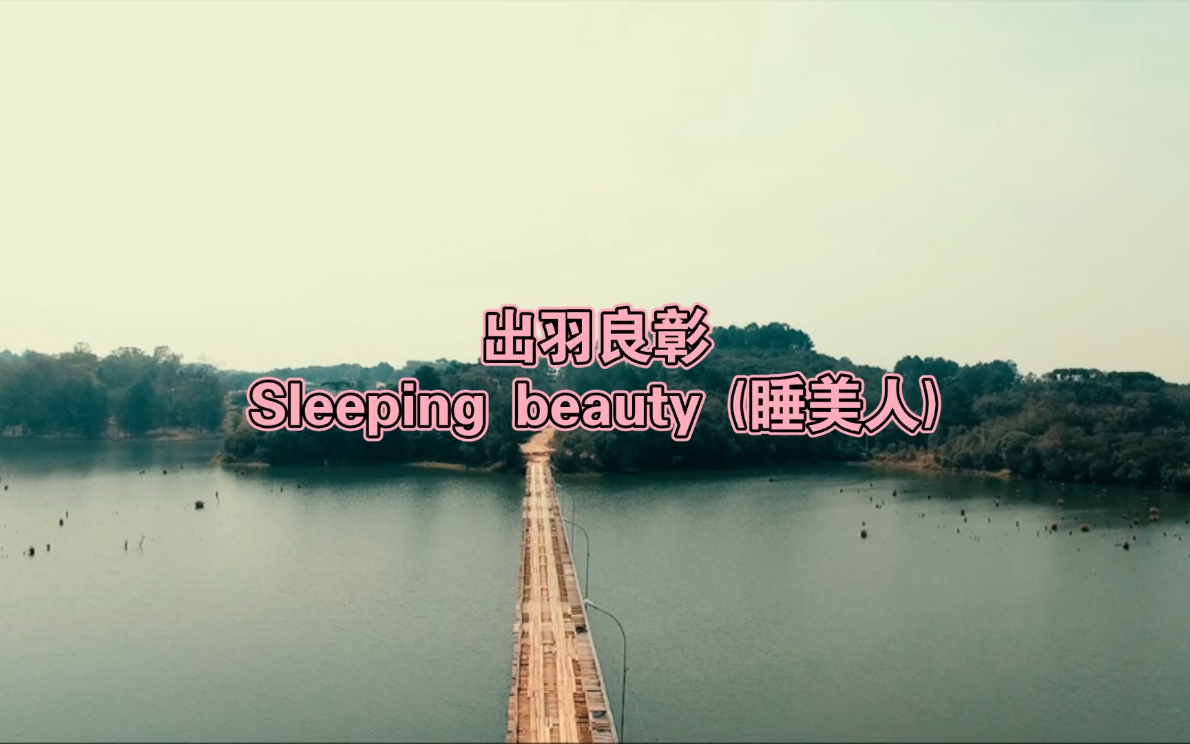 [音乐推荐] 出羽良彰——Sleeping beauty (睡美人)哔哩哔哩bilibili