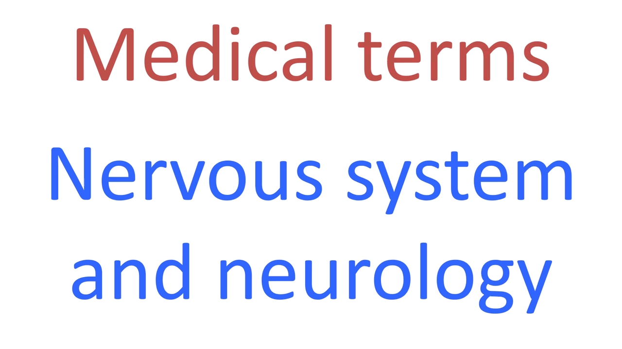 Medical terminology|medical terms 10, Neurology哔哩哔哩bilibili