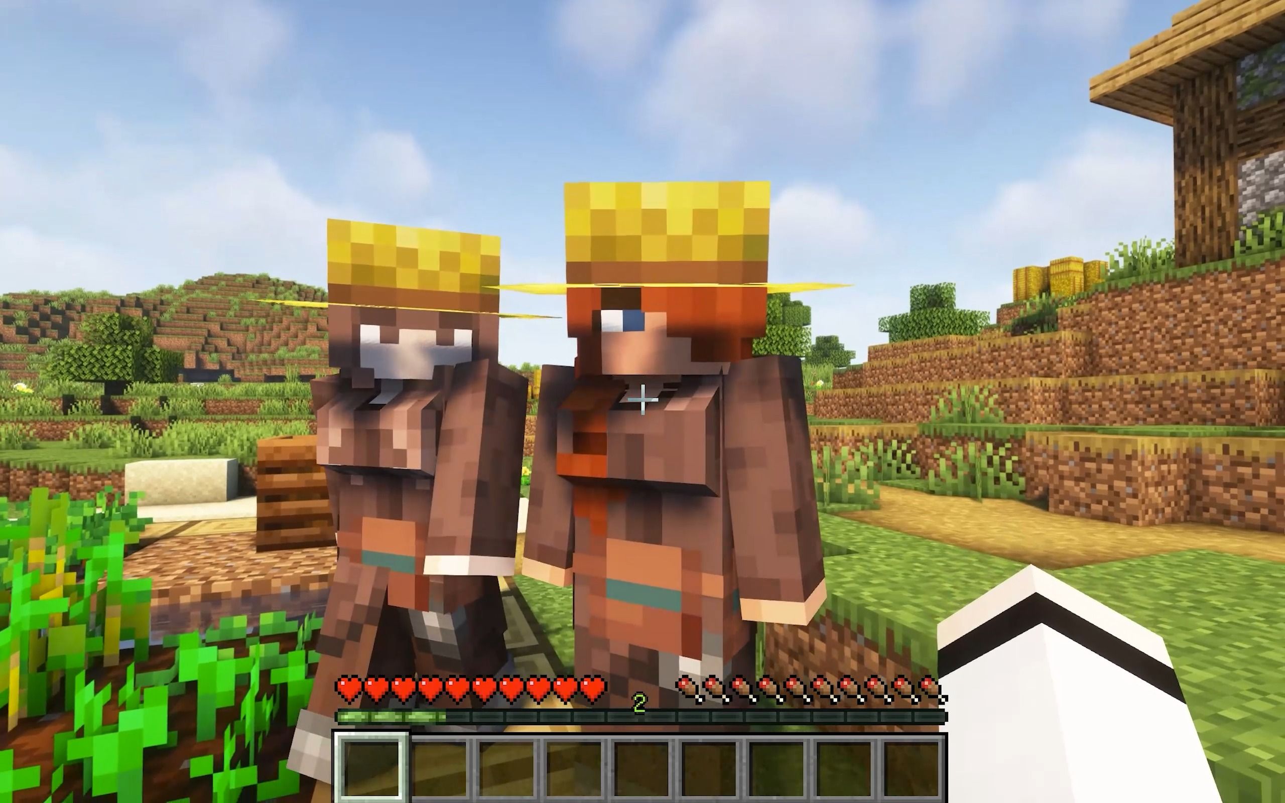 当所有村民变得娘化.