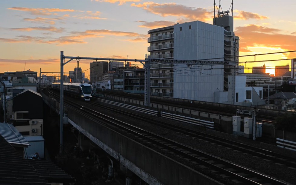 黄昏下的东海道线 jr东日本 e261系"蓝宝石舞女"(サフィール踊り子)