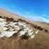 万马奔腾让你感受内蒙古草原的魅力