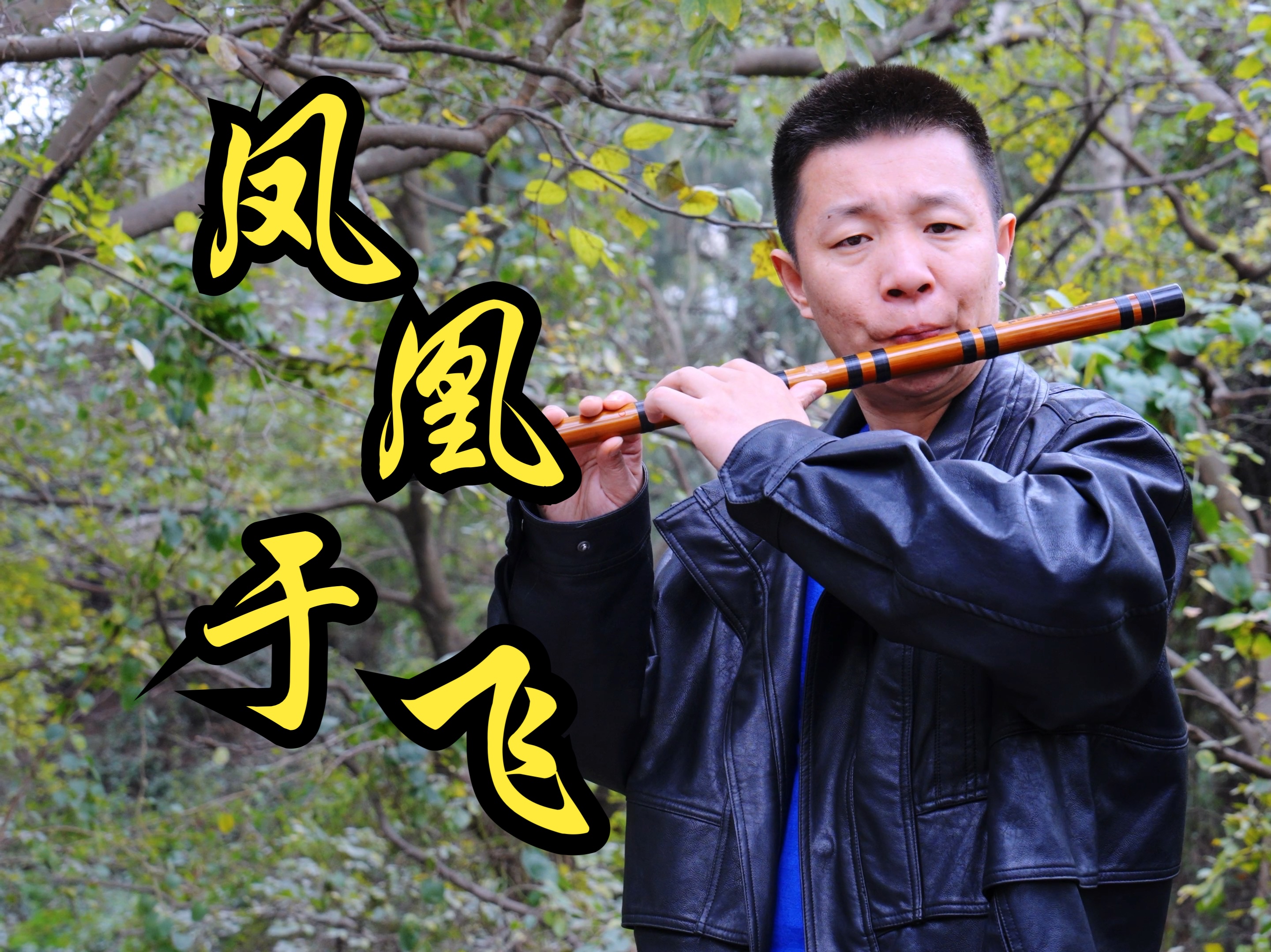 听梧桐细雨 瑟瑟其叶 随风摇记忆《凤凰于飞》-笛子绿洲-笛子绿洲