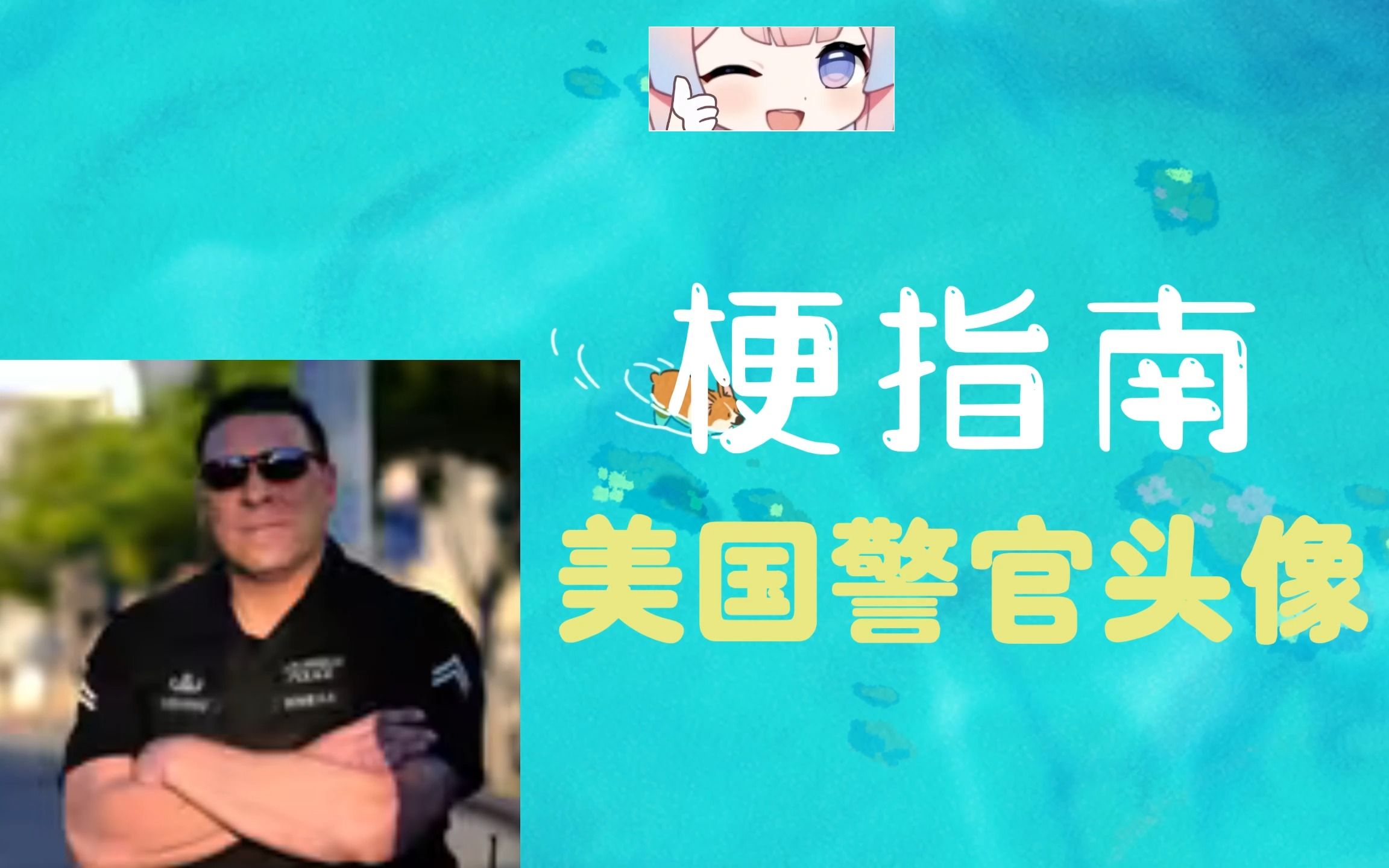 美国警官头像什么梗【伪梗指南】哔哩哔哩bilibili