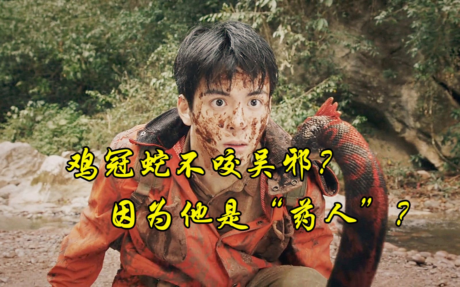 《终极笔记》为什么鸡冠蛇不咬吴邪?因为他是吴家的"药人"?