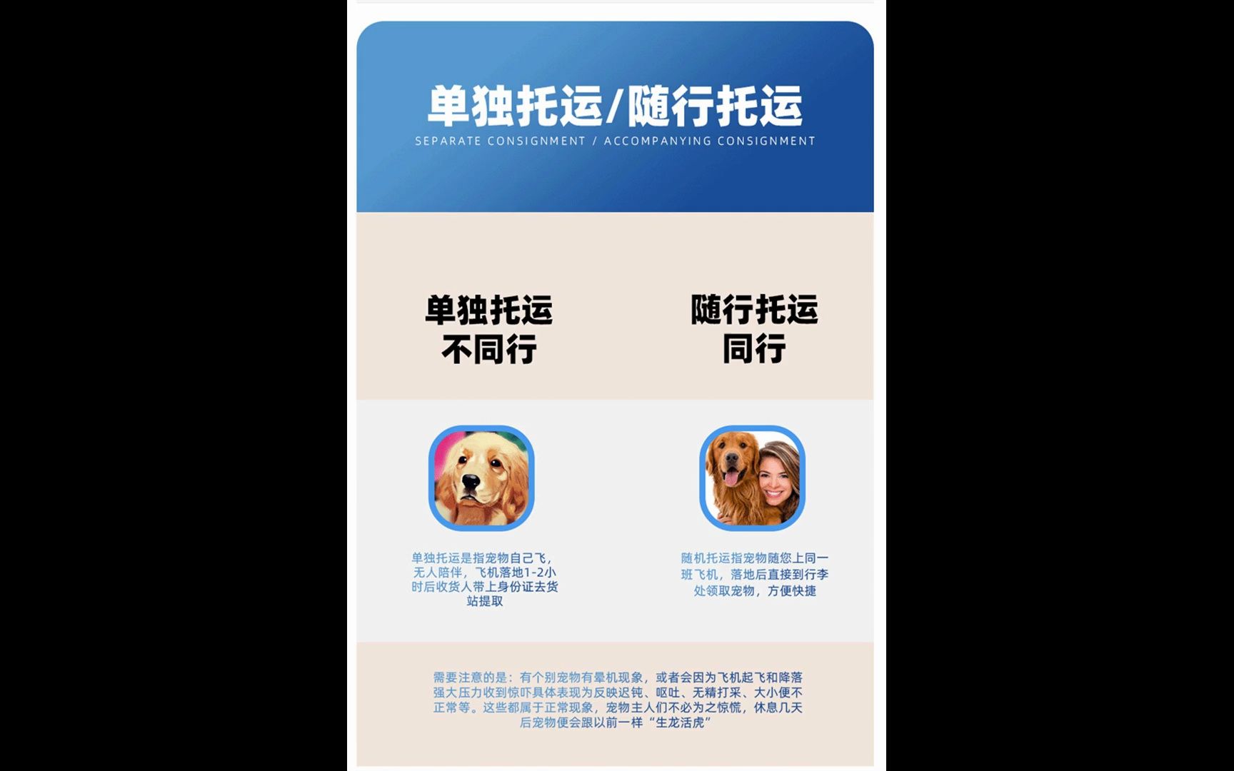 宁德宠物猫咪托运15685144249 宠物托运公司 时效快哔哩哔哩bilibili