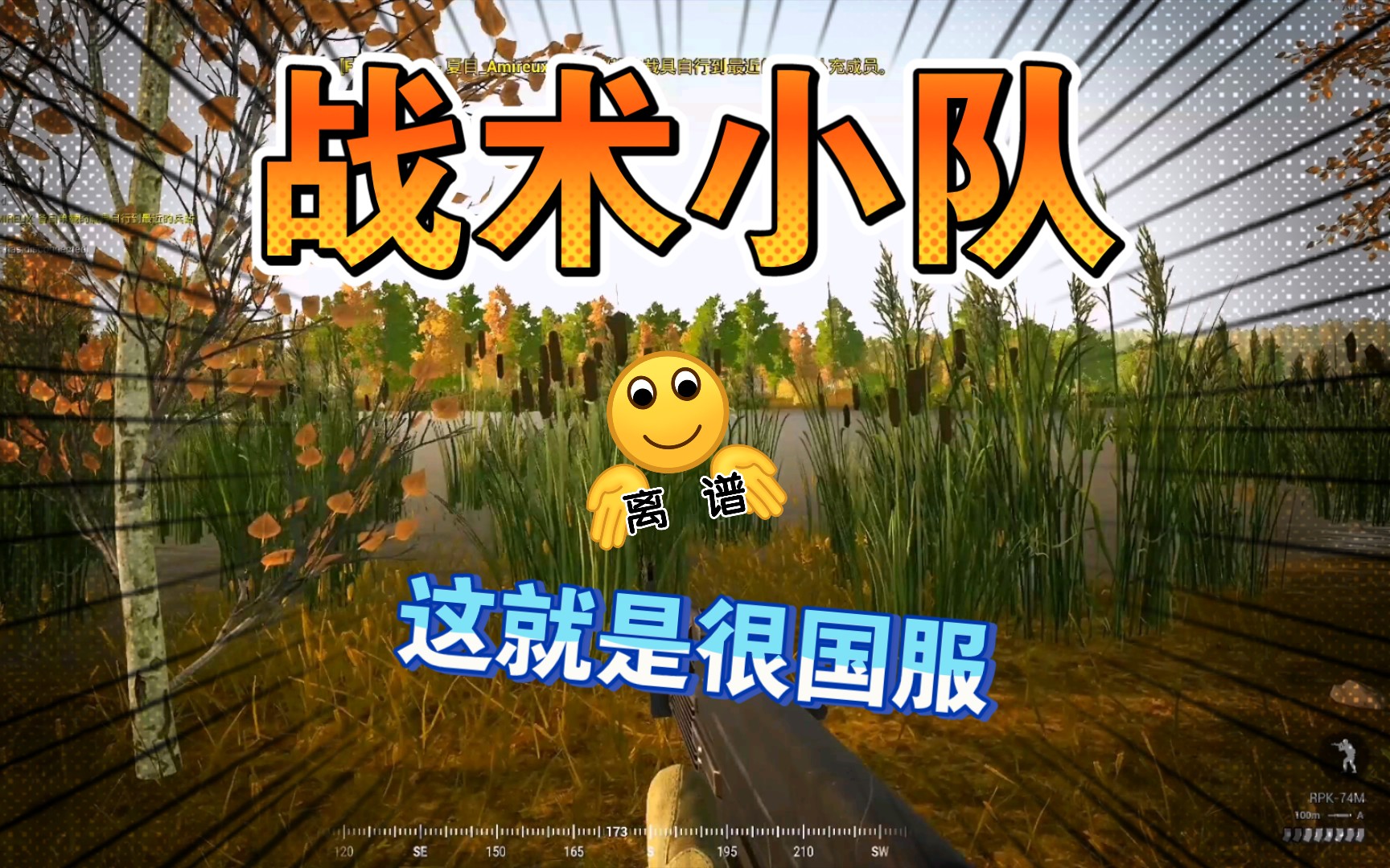 [图]【战术小队/SQUAD】这就是国服的现状