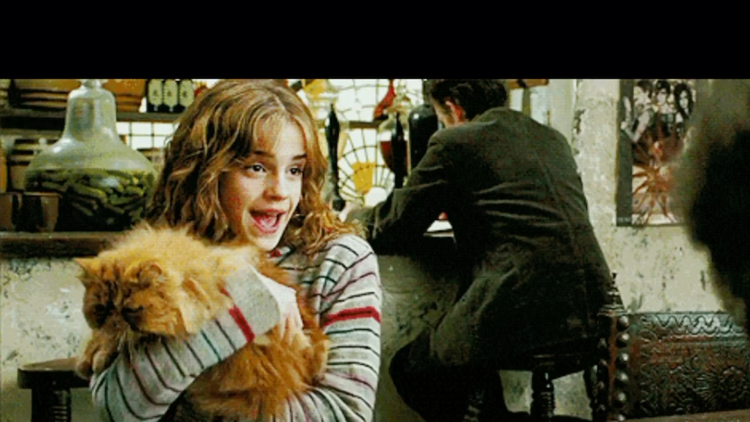 【hp/罗赫】【罗恩赫敏】从小甜到大的韦斯莱夫妇