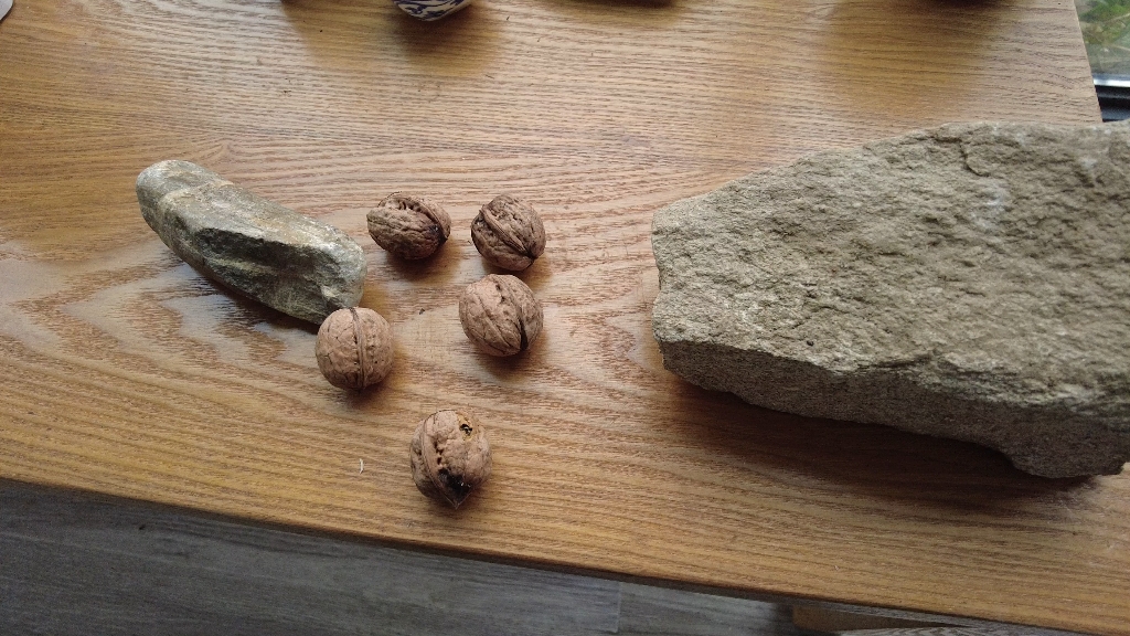 用门夹开的核桃还能补吗?