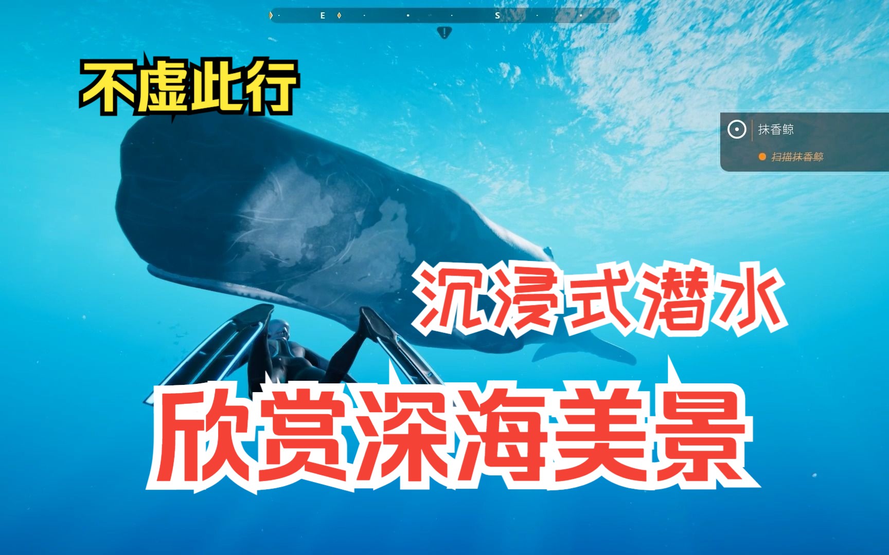 沉浸式潜水欣赏深海 超越蔚蓝 纯欣赏 不需要解说 攻略的游戏 经典探险游戏 单机游戏 海洋 生物 潜水哔哩哔哩bilibili蔚蓝演示