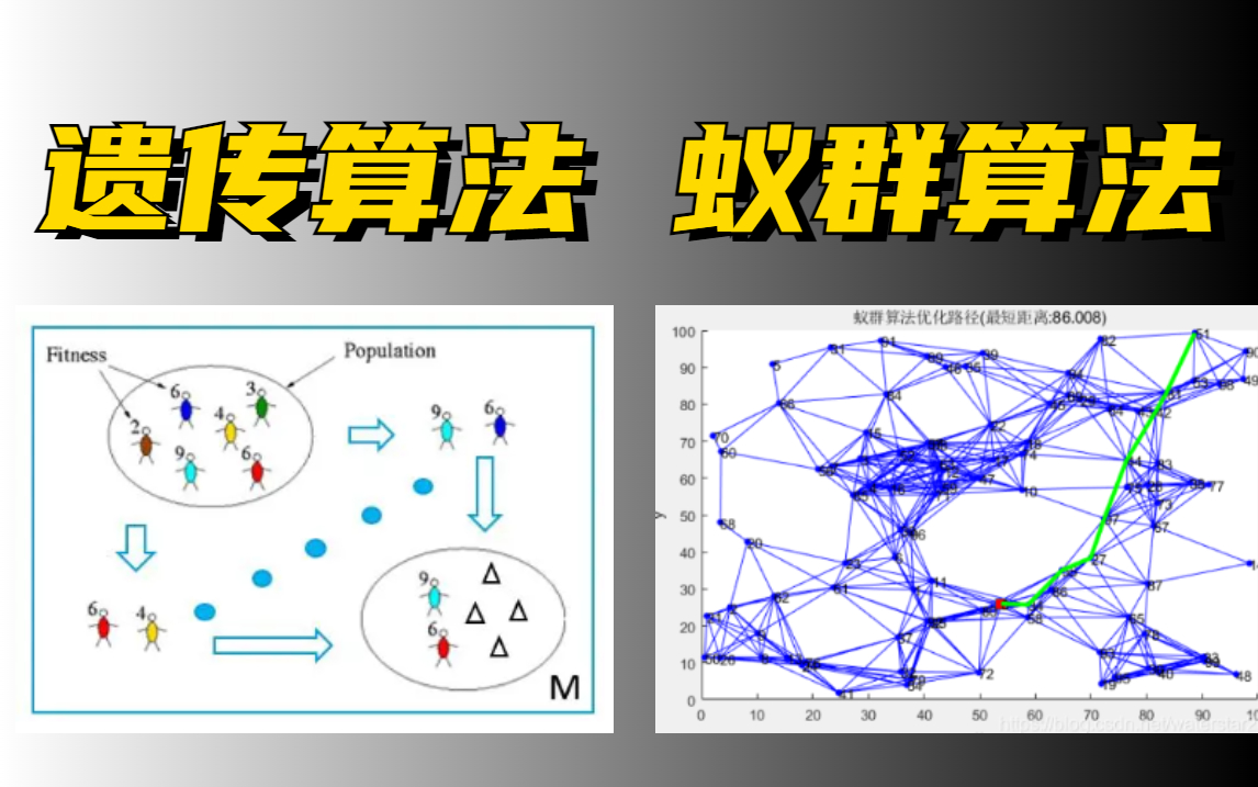 目前见过B站最好的【遗传算法+蚁群算法】只要看这个知识点完全可以一个不落全部学会!再也不用担心知识点不全面了,简直太详细了!人工智能/遗传算...