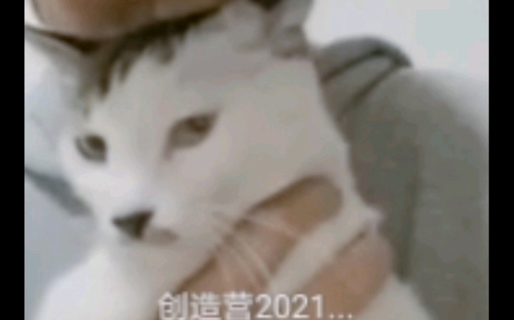 【六月美人】创造营2021刘月 极端片段cut 女偶像的闪耀时刻哔哩哔哩bilibili