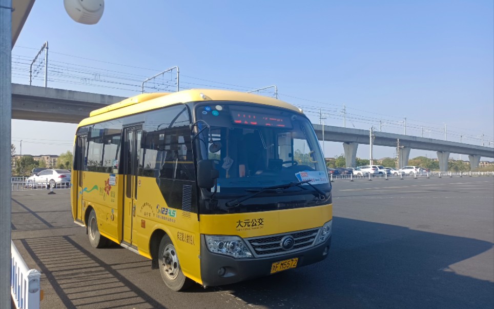 【直达临平和下沙边界的隐藏村村通】海宁公交319路 高铁海宁西站