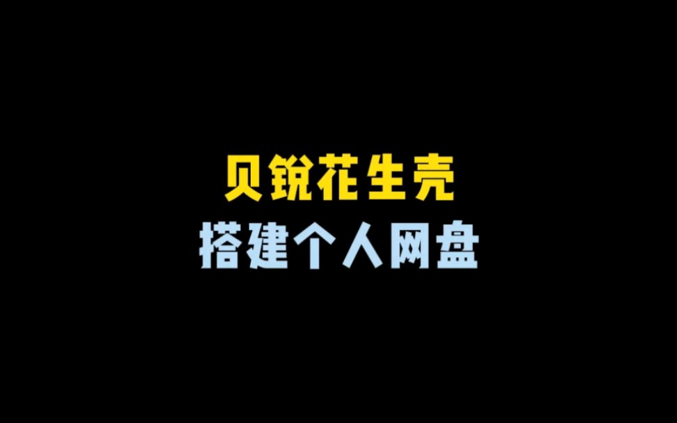 用花生壳2分钟搭建一个私人网盘系统!哔哩哔哩bilibili