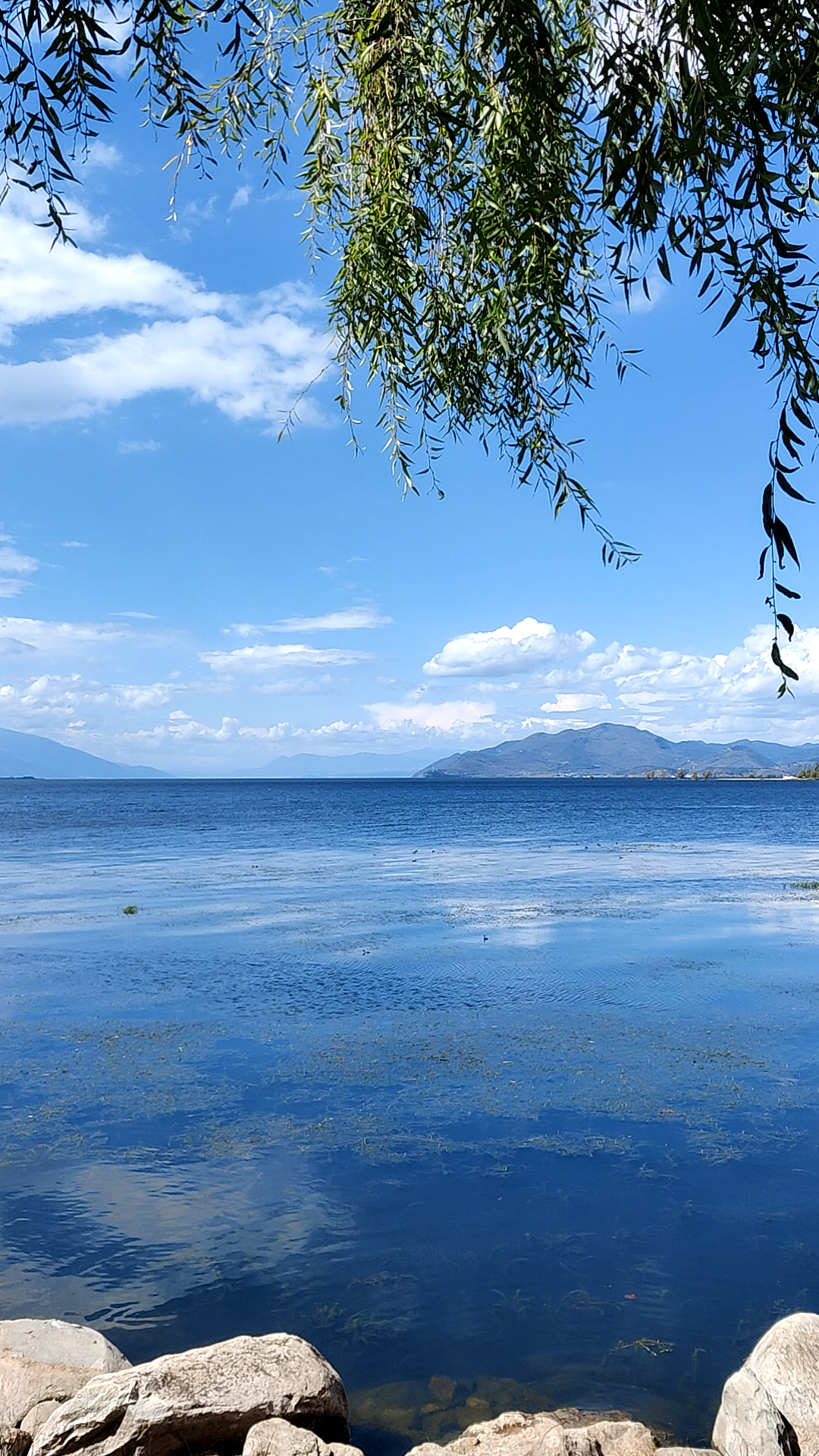 大理洱海路边随拍