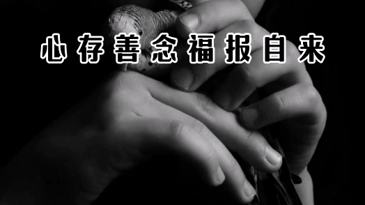心存善念天必佑之#读书感悟#职场人生#个人成长
