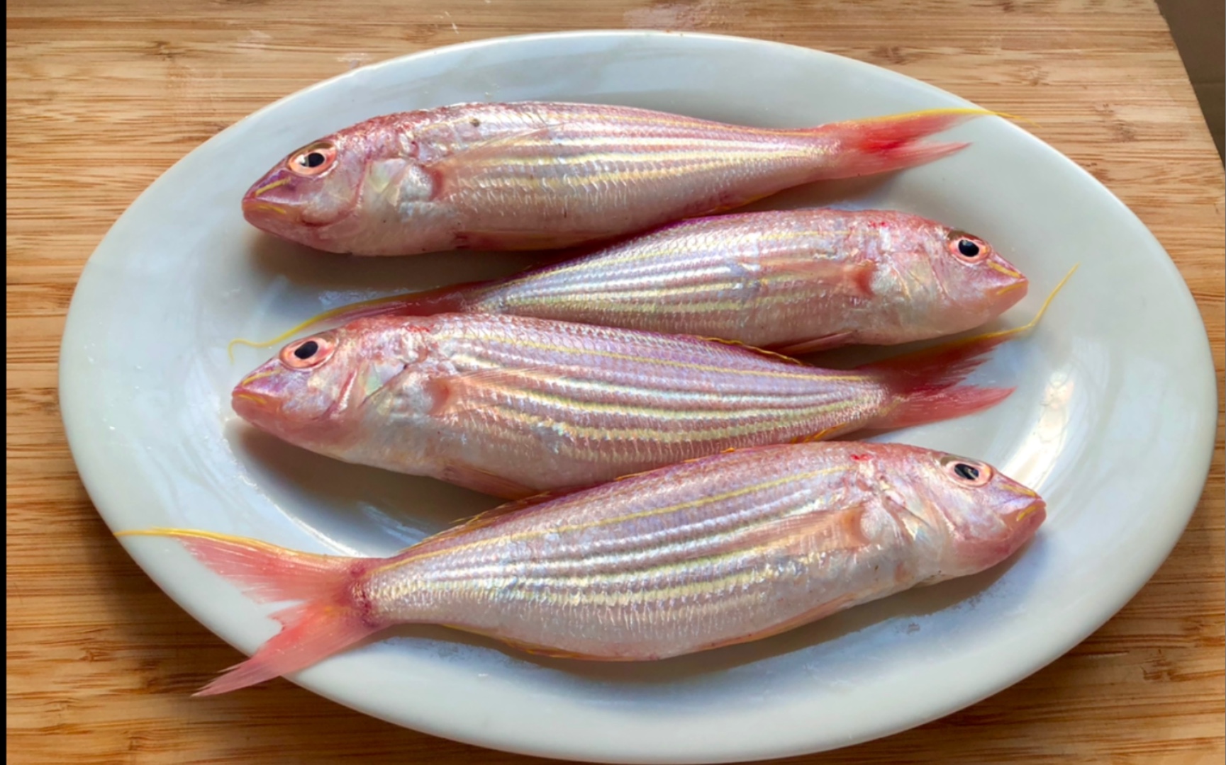 胖大厨分享"香煎金丝鱼"做法,口感外酥里嫩,下饭下酒都不错