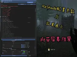 Descargar video: 【黎明杀机】ReShade滤镜配置参数与效果展示（附带屏幕准星）