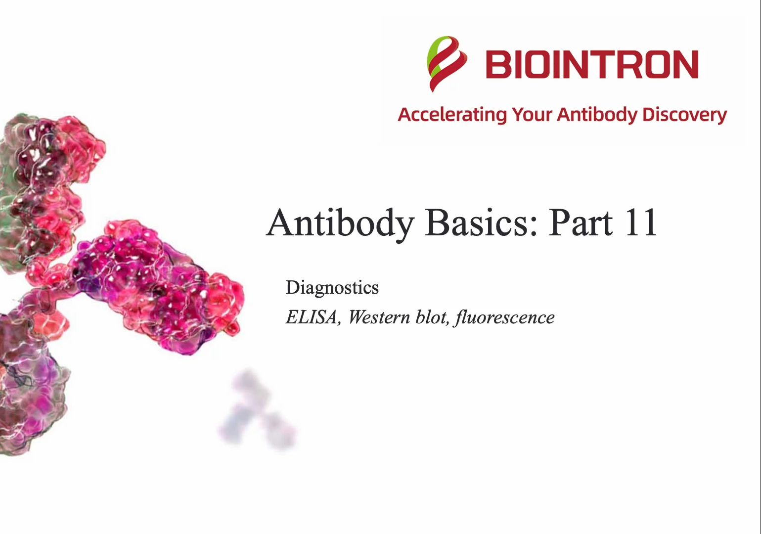 Antibody Basics 专题十一——基于抗体的诊断哔哩哔哩bilibili