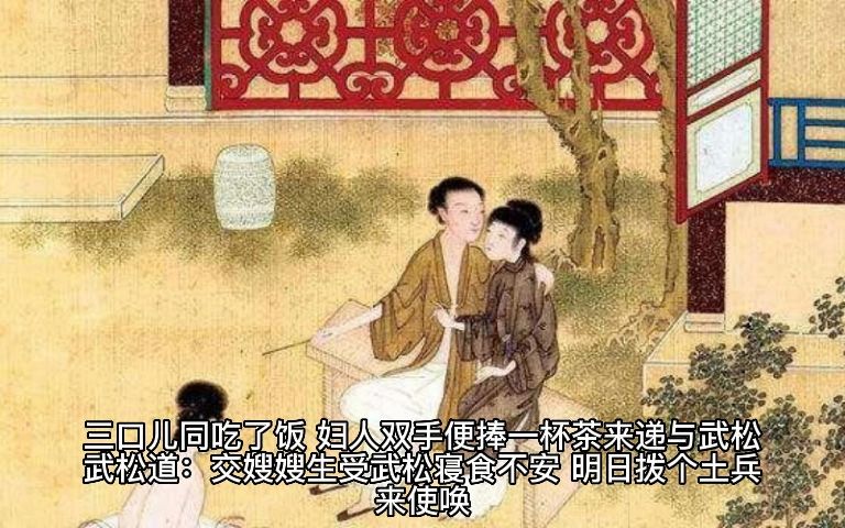 金瓶梅.第二回.俏潘娘帘下勾情老王婆茶坊说技哔哩哔哩bilibili